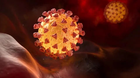 Coronavirus in a human lungs Stock Footage 165389601