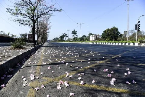 Coronavirus India lockdown – Eastern Express Highway Photos