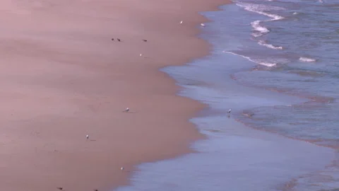 Coronavirus lockdown Bondi Beach in Australia during global COVID 19 Pandemic 8 Stock Footage 150344524