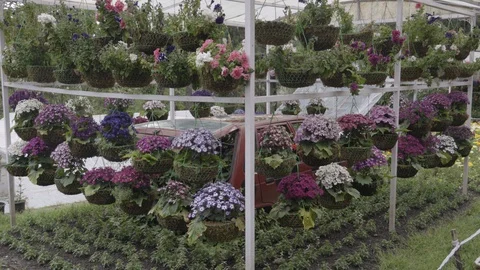 Coronavirus Lockdown in India.Empty flowers gardens . Vidéo 129062846