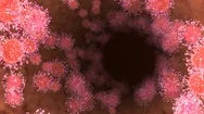 Coronavirus Lung Infection Loop. More Covid-19 In My Portfolio. Stock Footage