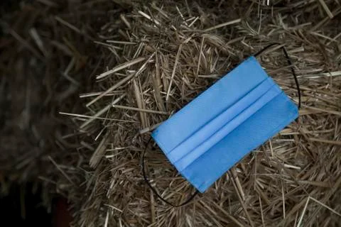 Coronavirus mask on a haystack Stock Photos
