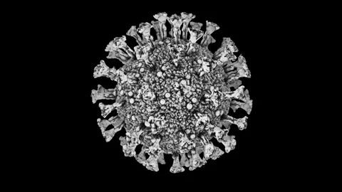 Coronavirus micrograph style 3D looping rotation with alpha matte Stock Footage 142933938