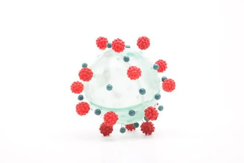 Coronavirus model isolated on a white background 스톡 사진