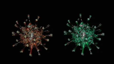 The coronavirus model rotates slowly Stock Footage 129049030