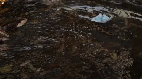 Coronavirus outbreak - garbage, disposable masks in water, river, lake Stock Footage 142454227