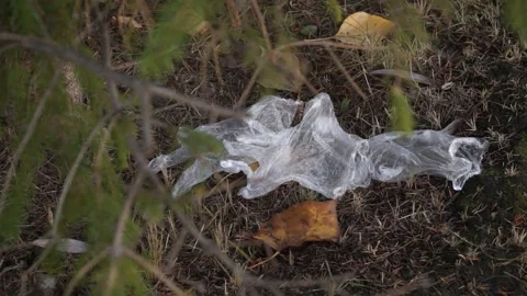 The coronavirus outbreak is garbage in the forest, Park Stock Footage 142031071