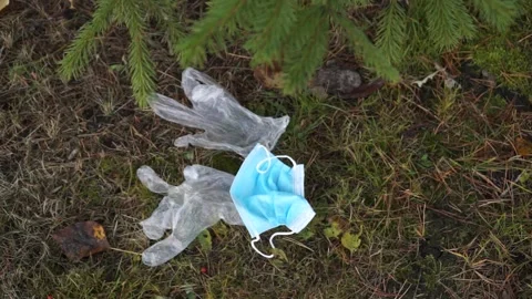 The coronavirus outbreak is garbage in the forest, Park Stock Footage 142031289