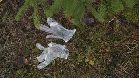 The coronavirus outbreak is garbage in the forest, Park Stock Footage 142031304