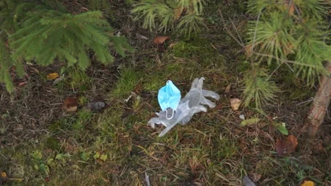 The coronavirus outbreak is garbage in the forest, Park Stock Footage 142032142