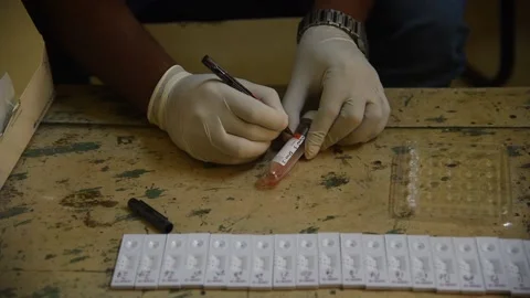 Coronavirus Outbreak in India Video stock 141865586