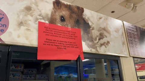 Coronavirus at PetSmart Stock Footage 128097019