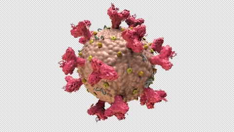 Coronavirus rotating - 3d renderlooped with alpha channel. Stock Footage 167531448