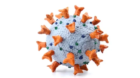 Coronavirus school model for science education Stock Footage 140956446