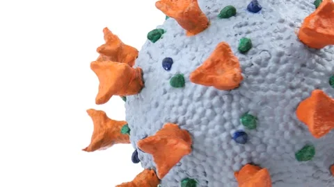 Coronavirus school model for science education Stock Footage 141314893