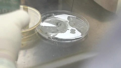 Coronavirus scientist makes tests in the laboratory 스톡 동영상 128351198