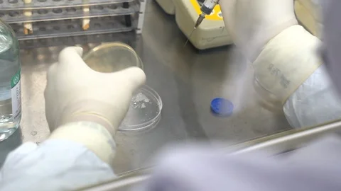 Coronavirus scientist makes tests in the laboratory 스톡 동영상 128351211