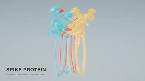 Coronavirus spike protein trimer structure rotating molecular loop Stock Footage 343822394