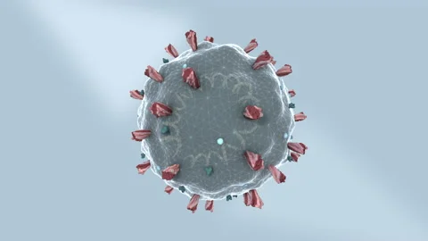 Coronavirus structure, 3d animation Stock Footage 134316409