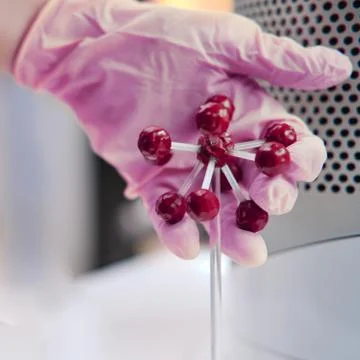 Coronavirus study for the development of vaccines and drugs in a medical labo Stock Photos