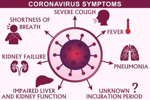 Coronavirus Symptoms Infographic Vector Stock Illustration