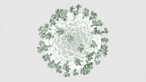 Coronavirus under the microscope rotating - 3d render looped with alpha channel. Stock Footage 167531529
