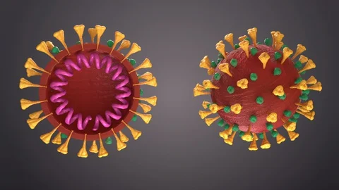Coronavirus, Virus, High Quality 3D Model Animation Stock Footage