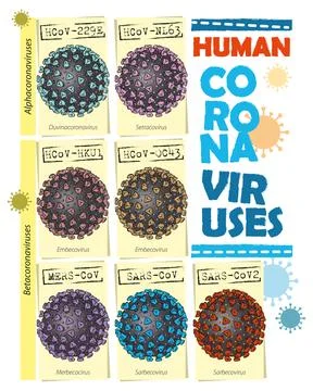 Coronaviruses Stock Illustration