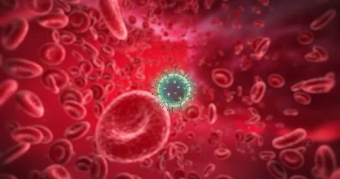 Coronaviruses Moving Inside the Body, Lungs or Artery. 2 Shots. Stock Footage 129098567