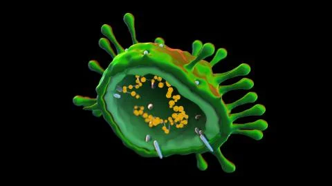 Coronavisus Corona Sars Virus Microbe Bacteria Macro Microscopic 3d Illustration Stock Illustration