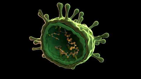 Coronavisus Corona Sars Virus Microbe Bacteria Macro Microscopic 3d Illustration Stock Illustration