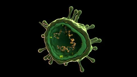 Coronavisus Corona Sars Virus Microbe Bacteria Macro Microscopic 3d Illustration Stock Illustration