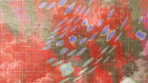 Corporate Abstract Geometric Motion Background Texture Stock Footage 325817046