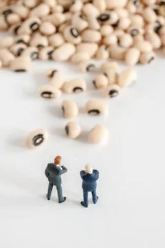 Corporate Bean Counting Concept Stock Photos