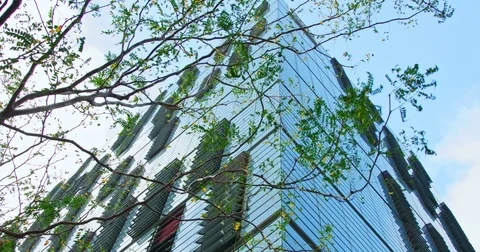 Corporate buildings. Reflection of sky in sky-scraper Stock Footage