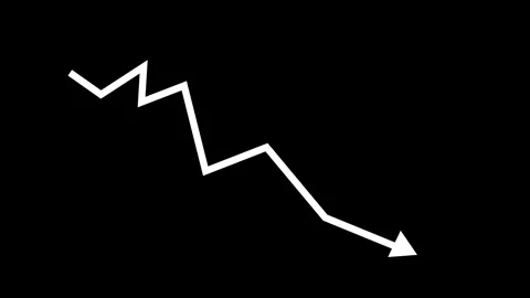 Corporate Earnings Down Animation with Professional Analytics Charts Stock Footage 337012585