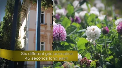 Corporate grids slideshow Modèle After Effects