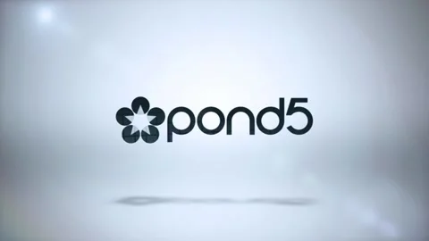 Corporate Logo Stock After Effects