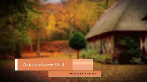 Corporate Lower Third Pack Stock After Effects