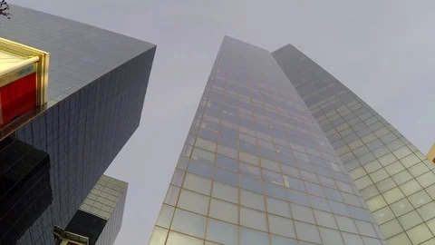 Corporate Office Bird Flies Between 4k Vídeo Stock 71462489