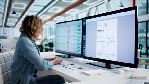 Corporate Payroll Bookkeeper Checking Spreadsheet Stock Footage 328396109