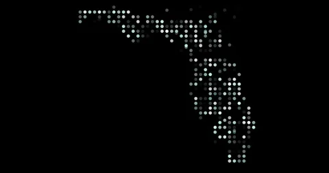 Corporate Technology Map of Florida State Dots Graphic Stock Footage 321293114