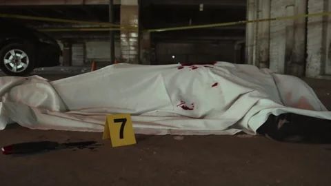 Corpse Covered with White Sheet at Urban Murder Scene Видео 241679792