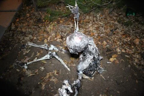 Corpse exiting grave over view Foto stock