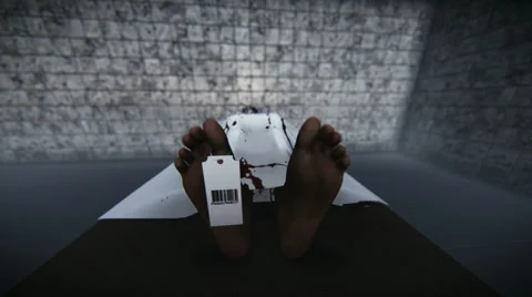 Corpse Stock Footage 35465720