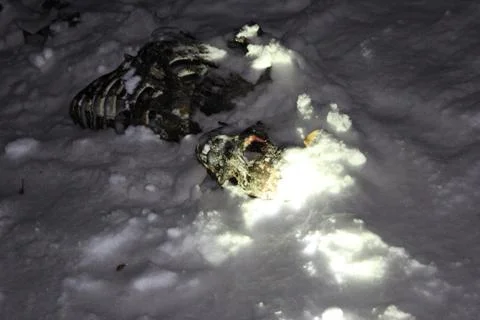 Corpse revealed in snow Foto stock