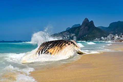 Corpse of the Whale in the Beach 스톡 사진