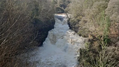 Corra Linn, Falls of Clyde Stock-Footage 171776014