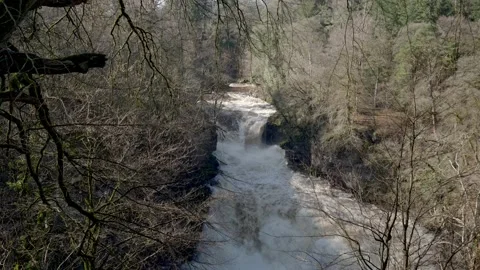 Corra Linn, Falls of Clyde Stock-Footage 171776090