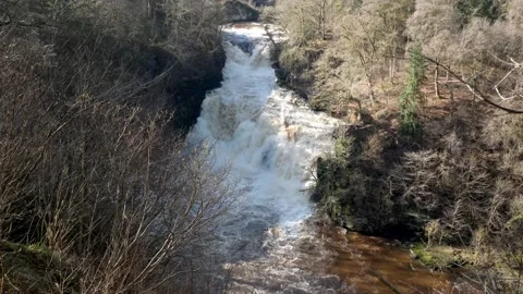 Corra Linn, Falls of Clyde Stock-Footage 171776095